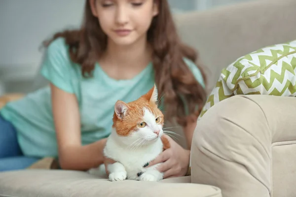 Молода жінка з милою кішкою на дивані вдома — стокове фото