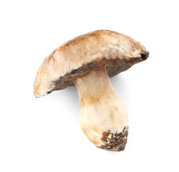 Champignon Cru Sur Fond Blanc — Photo