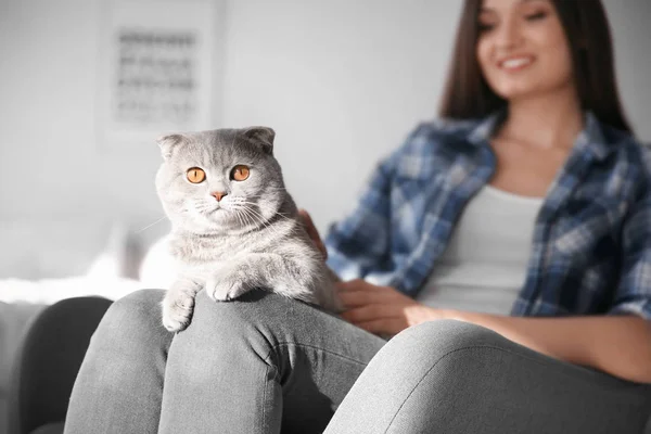 Молодая женщина с милым домашним котом дома — стоковое фото