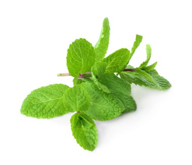 beyaz zemin üzerine taze Melisa