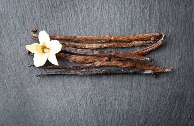 Vanilya çubukları ve koyu arka plan üzerinde çiçek