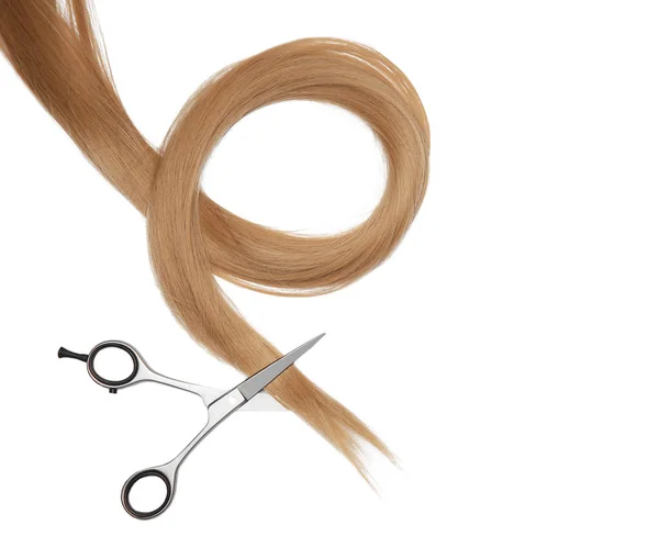 Professional hairdresser's scissors and strand of blonde hair on white background — Stock Photo, Image