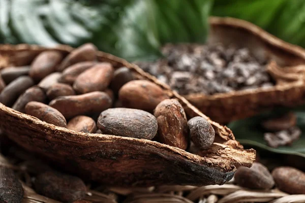 Cialda Cacao Con Fagioli Primo Piano — Foto Stock