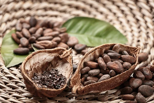 Mitades Vaina Cacao Con Frijoles Plumas Estera Mimbre — Foto de Stock