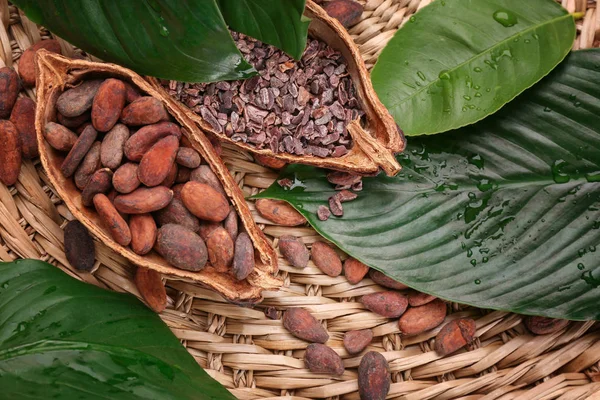 Metà Baccello Cacao Con Fagioli Pennini Stuoia Vimini Vista Dall — Foto Stock