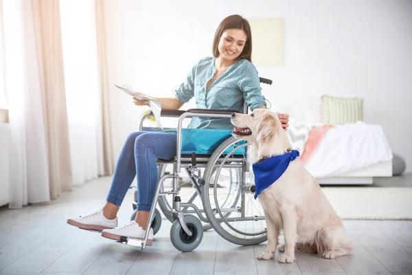 Woman in wheelchair reading newspaper with service dog by her side indoors — Stock Photo, Image