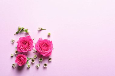 Renkli arkaplanda güzel çiçekler