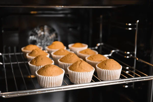 Tasty cupcakes on baking rack in oven