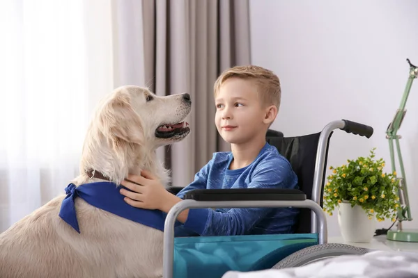 Мальчик в инвалидном кресле с собакой — стоковое фото