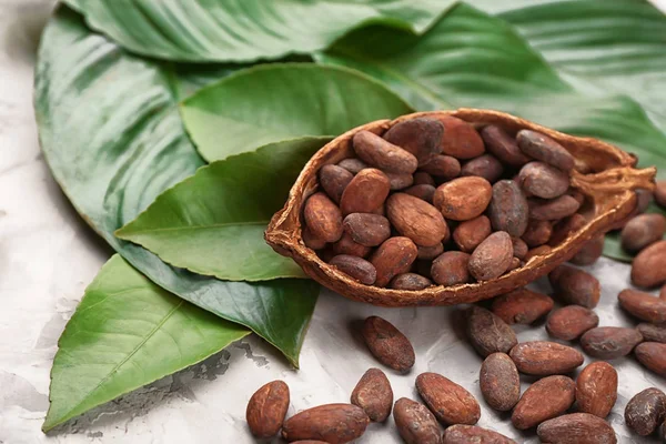 Metà baccello di cacao con fagioli e foglie verdi su sfondo chiaro — Foto Stock