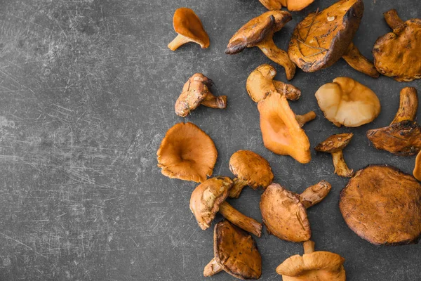 Raw forest mushrooms on grey background — Stock Photo, Image