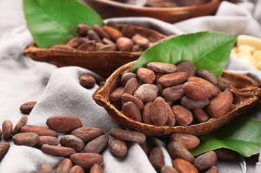 Kumaş üzerine fasulye ile olgun kakao pod