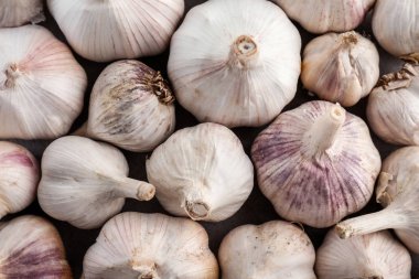 Taze sarımsak başları, portre