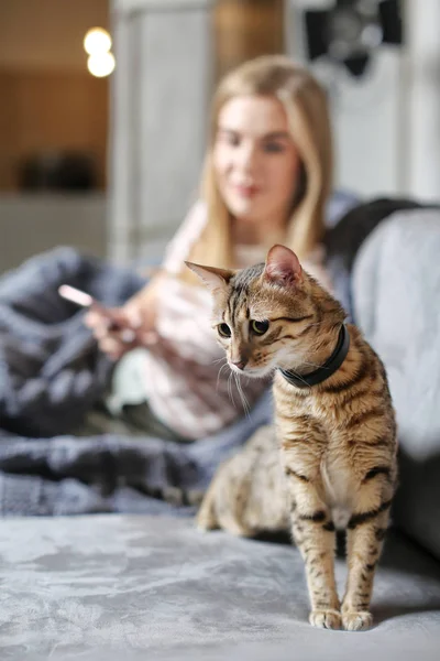 Kvinna smeka hennes söta katt hemma, närbild — Stockfoto