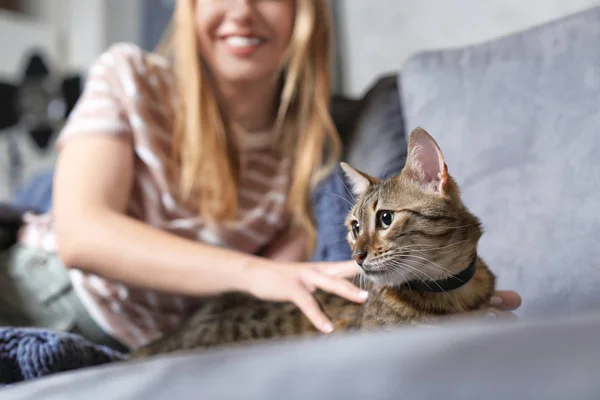 Nő Körvonalazás ő aranyos macska otthon, Vértes — Stock Fotó