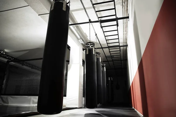 Interior of modern gym with punching bags — Stock Photo, Image