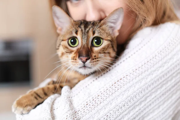 Kvinna med söt katt hemma, närbild — Stockfoto