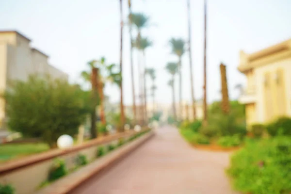 Beautiful alley on the territory of modern hotel at tropical resort, blurred view — Stock Photo, Image