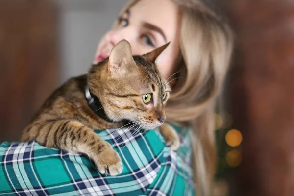 Cute cat in owner 's hands at home — стоковое фото