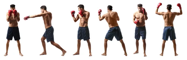 Conjunto de jovem com luvas de boxe treinando em fundo branco — Fotografia de Stock