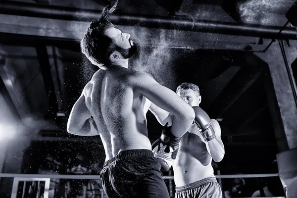 Młodych bokserów zawodowych szkolenie w pierścieniu — Zdjęcie stockowe
