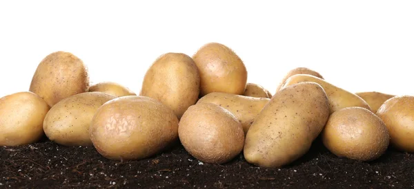 Verse rauwe aardappelen op de bodem tegen de witte achtergrond — Stockfoto