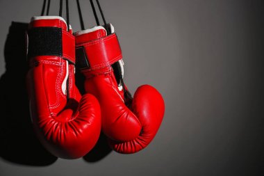 Boks eldivenleri gri arka plan üzerinde