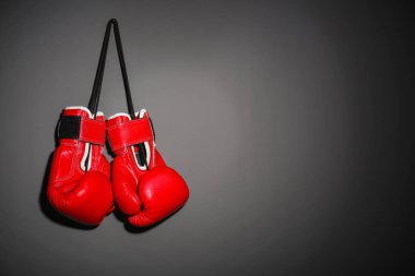 Boks eldivenleri gri arka plan üzerinde