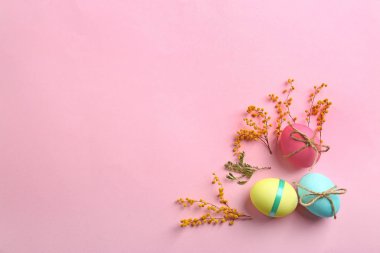 Paskalya yumurtaları ve Mimoza renk arka plan üzerinde dekore edilmiş