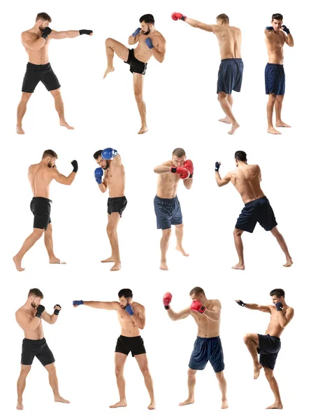 Set of boxers training on white background — Stock Photo, Image