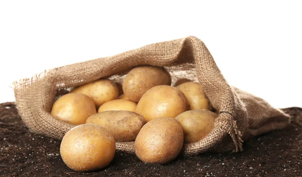 Sack mit frischen rohen Kartoffeln auf Erde vor weißem Hintergrund — Stockfoto