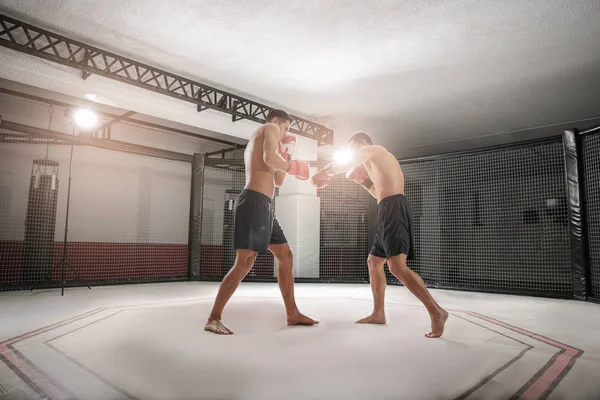 Dois pugilistas fortes lutando no ginásio — Fotografia de Stock