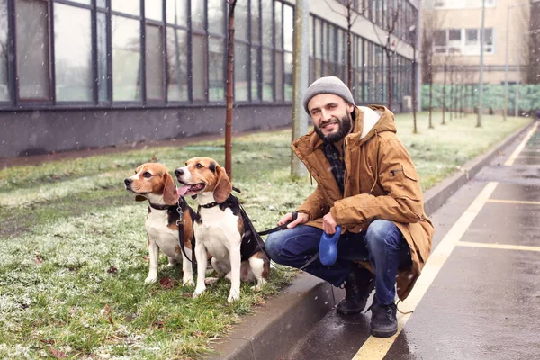 Guapo joven hipster paseando a sus perros al aire libre en día nevado —  Fotos de Stock