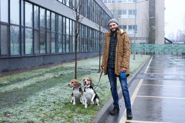 Bonito jovem hipster passeando seus cães ao ar livre no dia nevado — Fotografia de Stock