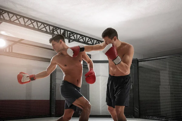 Dwóch bokserów silne walki w siłowni — Zdjęcie stockowe