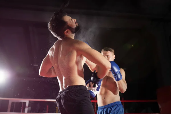 Jovens boxers profissionais treinando no ringue — Fotografia de Stock