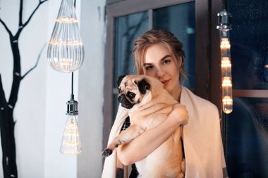 Şirin pug köpek evde pencere yanında olan kadın. Evde beslenen hayvan evlat edinmek
