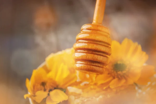 Перець з ароматом меду — стокове фото