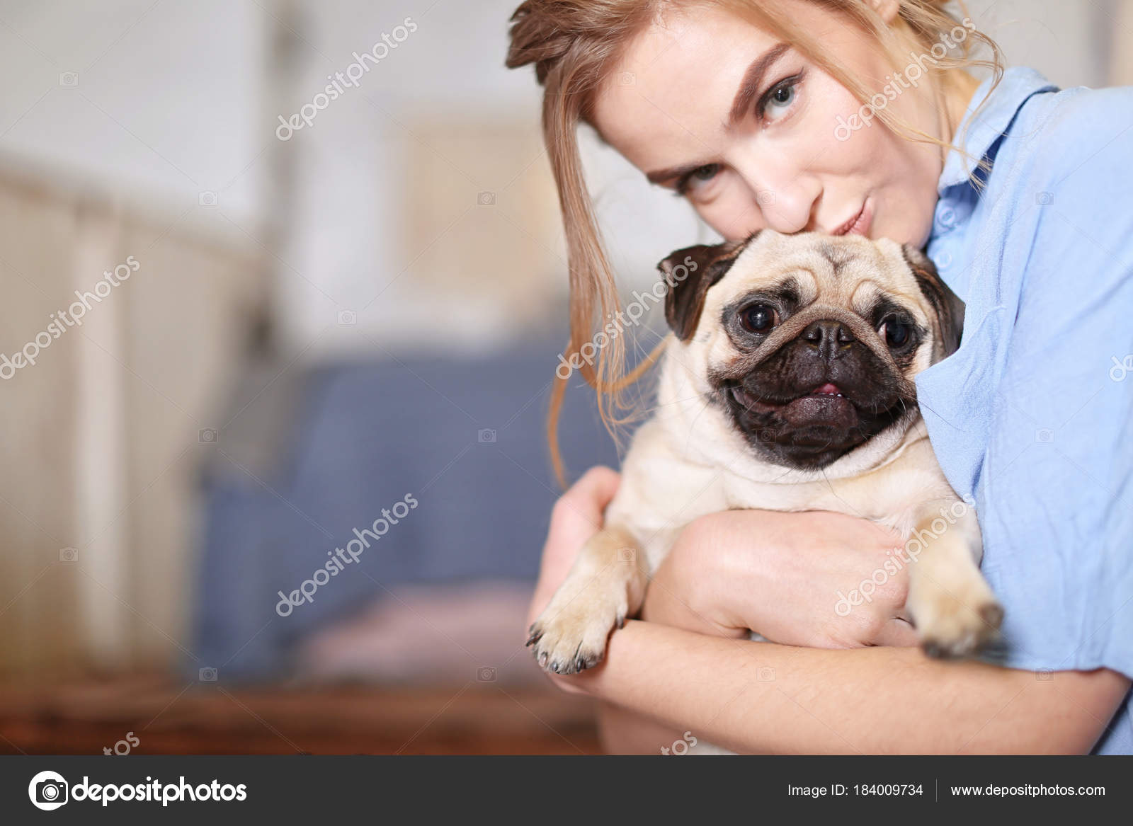 Young Woman Cute Pug Dog Home Pet Adoption Stock Photo C Belchonock 184009734