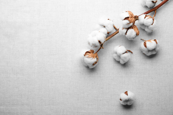 Cotton flowers on fabric 