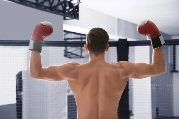 Handsome Trained Boxer Gym — Stock Photo, Image