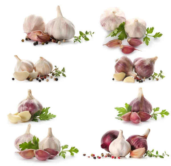 Garlic and herbs on white background — Stock Photo, Image