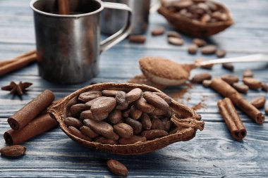 Fasulye ile kakao pod yarısı