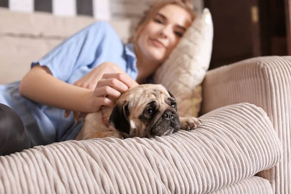 Mujer Joven Con Lindo Perro Pug Sofá Casa Adopción Mascota — Foto de Stock