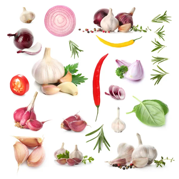 Česnek a další zeleninu a byliny na bílém pozadí — Stock fotografie