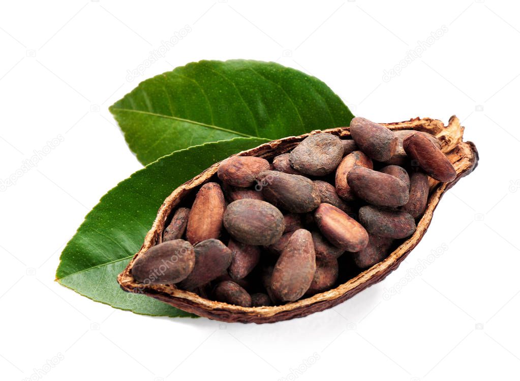 Half of ripe cocoa pod with beans  