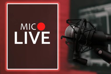 Canlı radyo yayını için mikrofon 