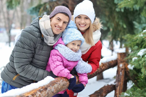 Portrét rodina v destinaci winter park — Stock fotografie