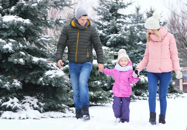 Glückliche Familie beim Wandern im Winterpark lizenzfreie Stockfotos