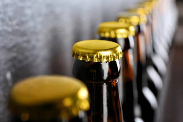 Garrafas de cerveja fresca, close-up — Fotografia de Stock